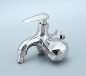 cu-sen-lanh-dakisa-cs16