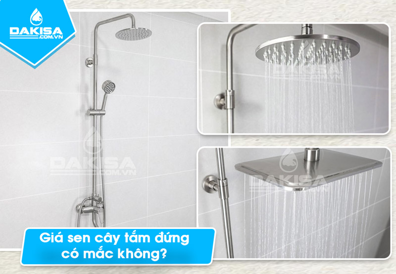 sen cay tăm đứng có mắc không