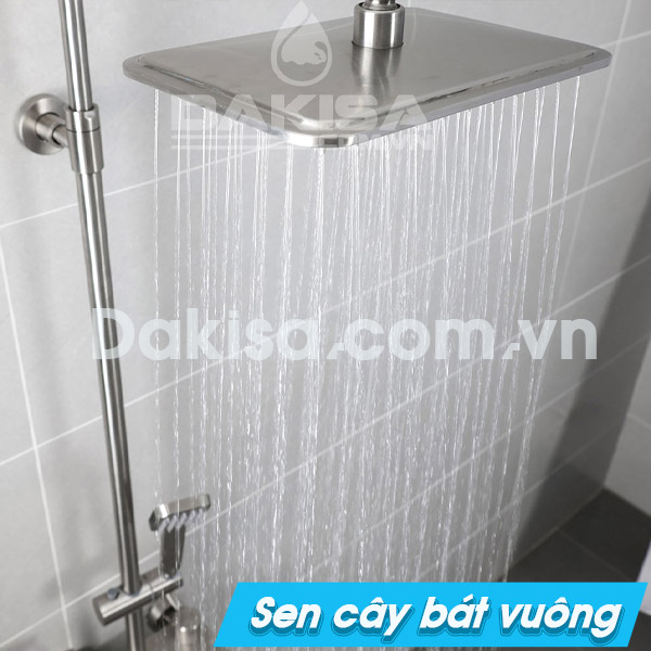 sen cây bát vuông