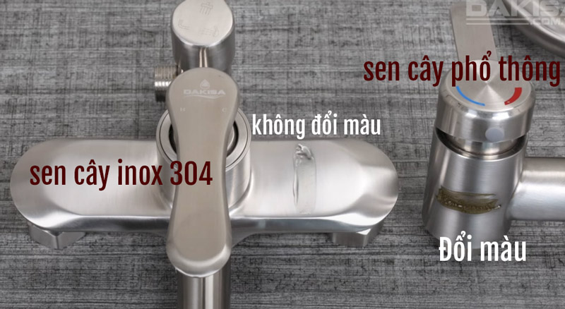 sen cây inox 304 cách phân biệt