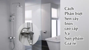 cách phân biệt sen cây inox và sen cây giá rẻ